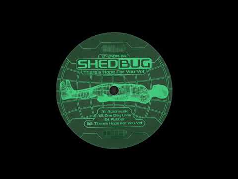 Shedbug - Aciidmuzik
