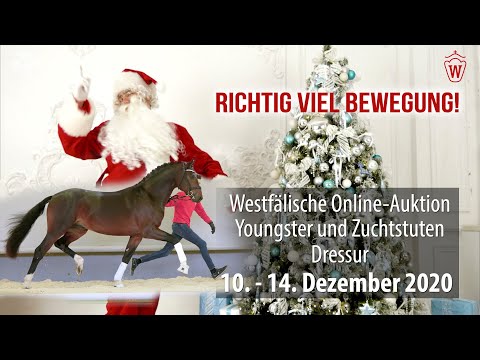 Westfälische Online-Auktion Youngster und Zuchtstuten Dressur