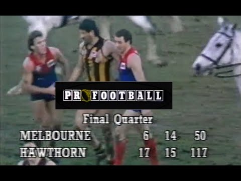1986 Round 16 Melbourne v Hawthorn (ProFootball)
