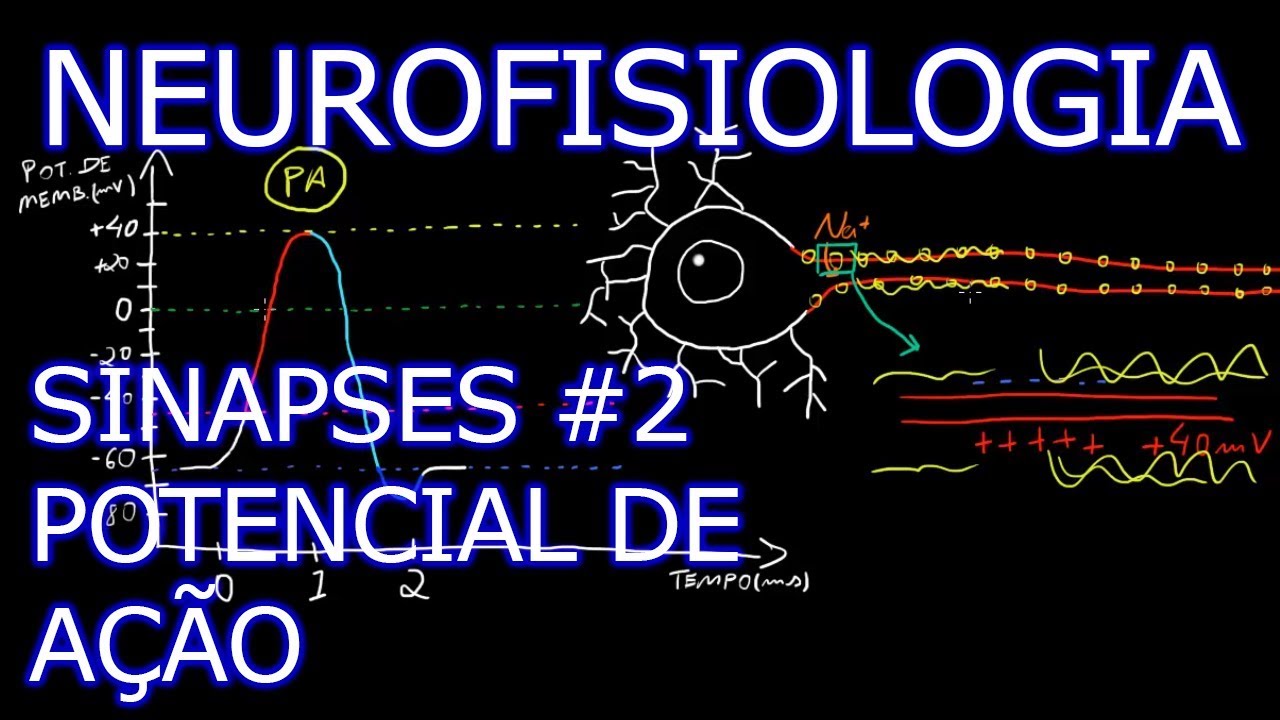 Aula: Neurofisiologia - Sinapses #2 - Potencial de Ação | Neurofisiologia Humana