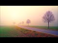 Morning Mood By Edvard Grieg 10 Hours Happiness