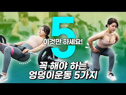 [핏블리]엉덩이운동 5가지