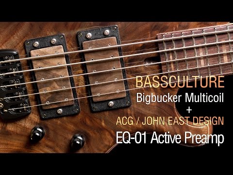 Bassculture Bigbucker + ACG / John East EQ-01 Preamp - Maruszczyk Frog Omega 5a