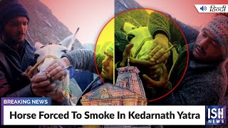 Horse Forced To Smoke In Kedarnath Yatra