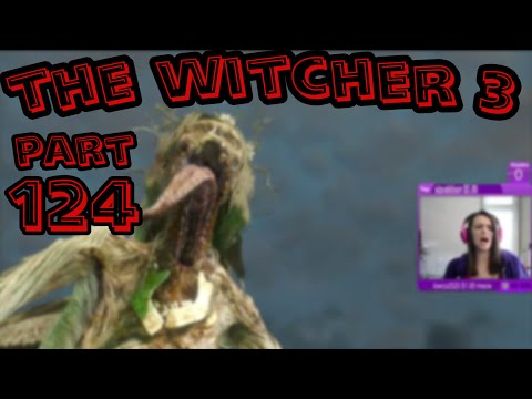 Lowco2525 plays: The Witcher 3! (Part 124) [End]