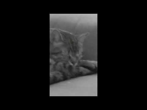 Video thumbnail for Writing Process