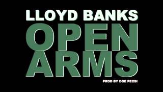 Lloyd Banks - Open Arms (Instrumental)