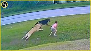 25 Hero Animals that Saved Human Lives