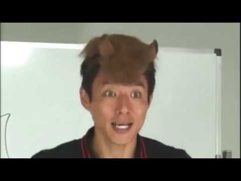 White Wing Dynablade