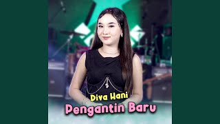 Download lagu Pengantin Baru mp3