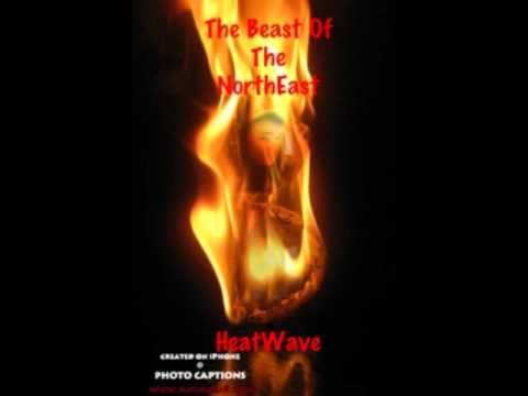 Nicky B- Cannon Freestyle