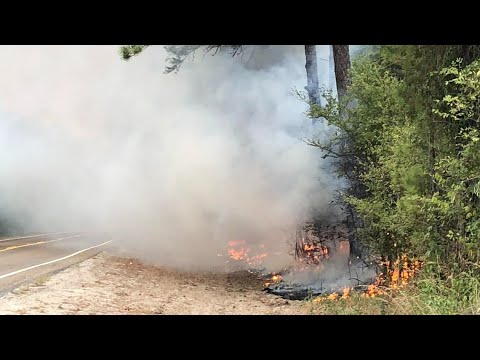 Texas A&M Forest Service gives update on growing wildfire in Walker County
