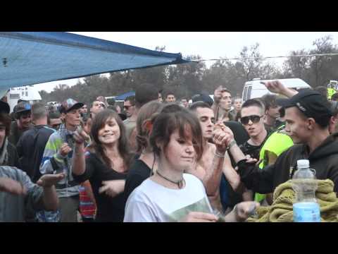 festitek animaltek.MTS