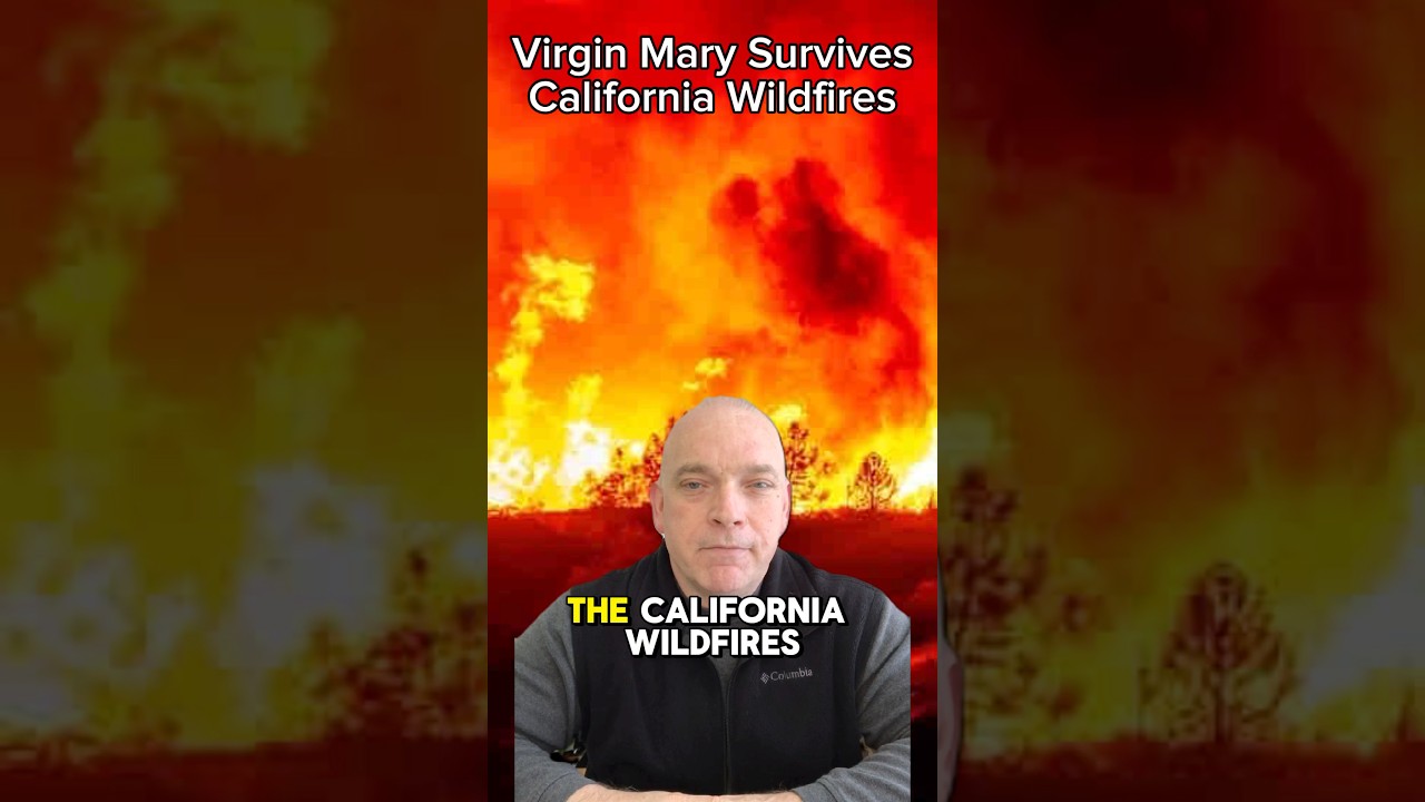 Virgin Mary Survives California Wildfires #fire #california #god #miracle #shorts