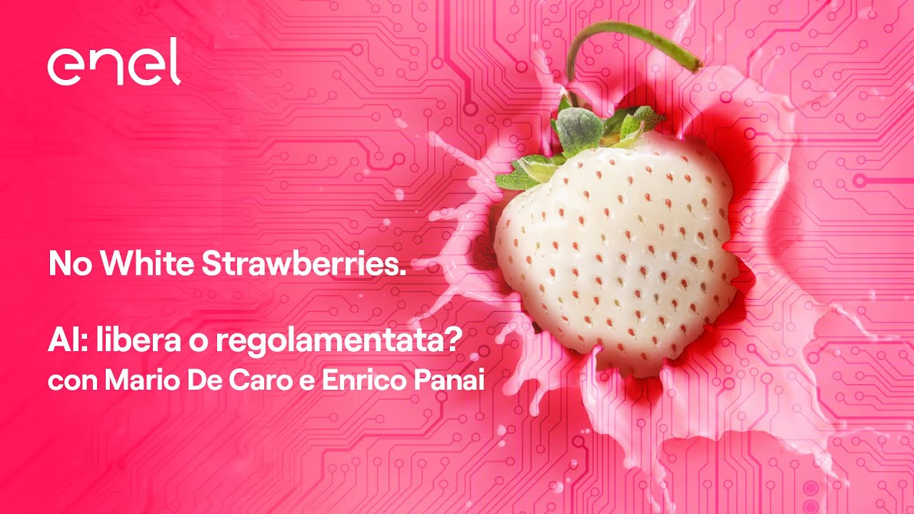 Embed di AI: libera o regolamentata? (Mario De Caro e Enrico Panai)