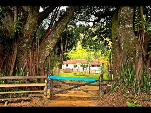 Pena Branca e Xavantinho - Uirapuru