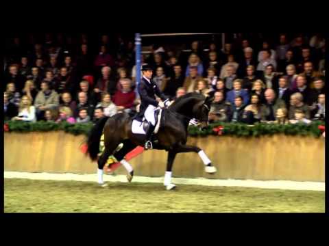 Rock Forever - Hengstschau Sosath