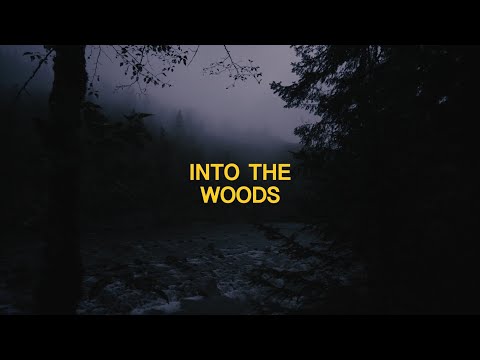 INTO THE WOODS (Documentary)