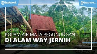 Tempat Wisata Alam Way Jernih di Lampung, Punya Pemandangan Indah dan Kolam Mata Air Pegunungan