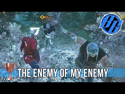 The Enemy of My Enemy Trophy Guide BEST METHOD [Next-Gen Version] | The Witcher 3: Wild Hunt