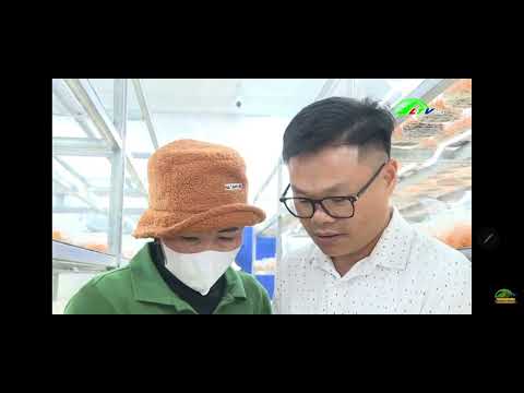Đài truyền hình Lâm Đồng đưa tin về sản phẩm OCOP huyện Lạc Dương và đông trùng hạ thảo DKM