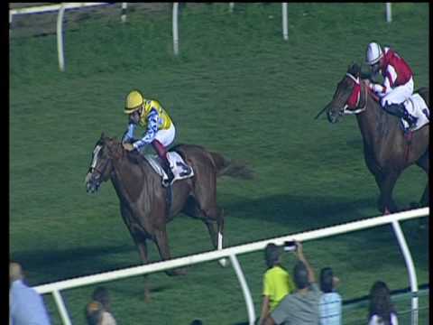 Galoppo 15/07/2017 - 5ª corsa - Città di Napoli