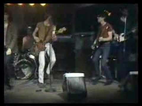 Fleshtones 1978 TVParty