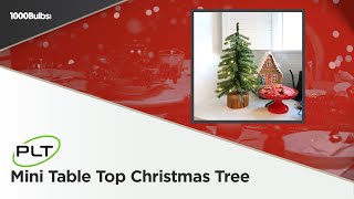 PLT Mini Table Top Christmas Tree | Product Spotlight