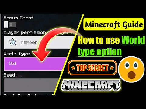 How to use World type option in Minecraft in Hindi | Minecraft Setting guide in Hindi