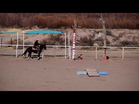 EXCA 2022 01 22 Ride Smart Lynn K   High Roller Whiz Kid a