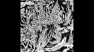 Eternal Tapestry-Lace Fern