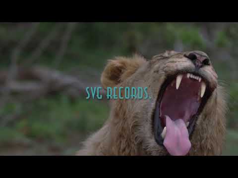 Jul X PNL X Drake Type Beat - " Wild & Loyal " (2019) Cloud Trap Beat