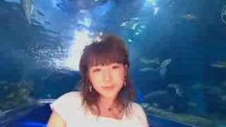 Babel Translated DA DI DU DE DO DA DI