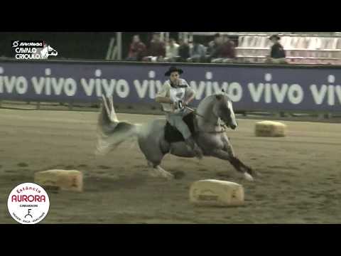 Garanhão - Quinchero de Santa Angélica