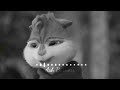 Cute Song Status Chipmunks Whatsapp Status