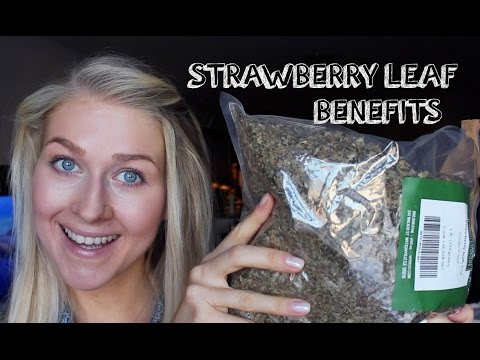 download lagu mp3 mp4 Is Strawberry Tea Good For You, download lagu Is Strawberry Tea Good For You gratis, unduh video klip Is Strawberry Tea Good For You