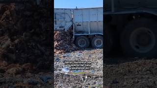 Download lagu This truck dumped thousands of chickens 😲 #shorts #viral #trending mp3 Download lagu This truck dumped thousands of chickens 😲 #shorts #viral #trending mp3