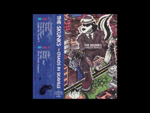 The Skunks - Chaos in Skaville full album