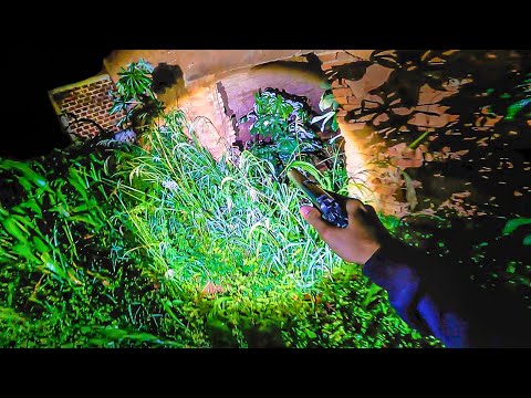 A LENDA DO MANIACO DA NOITE  - CAÇADORES DE LENDAS