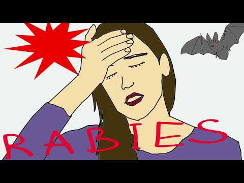 Rabies -Symptoms and Treatment  - Explained Simply
