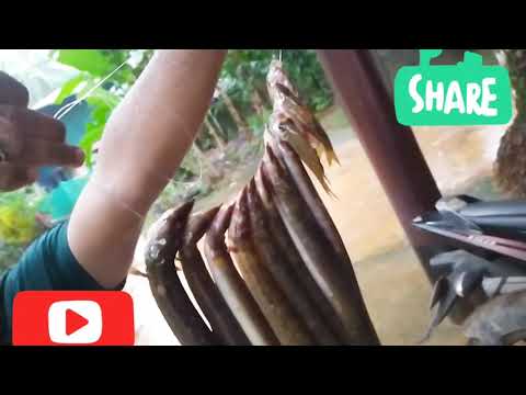 MERN PIDUTHAM      #SHORT#