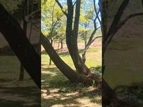 Córdoba San Pedro Norte y Cerro colorado