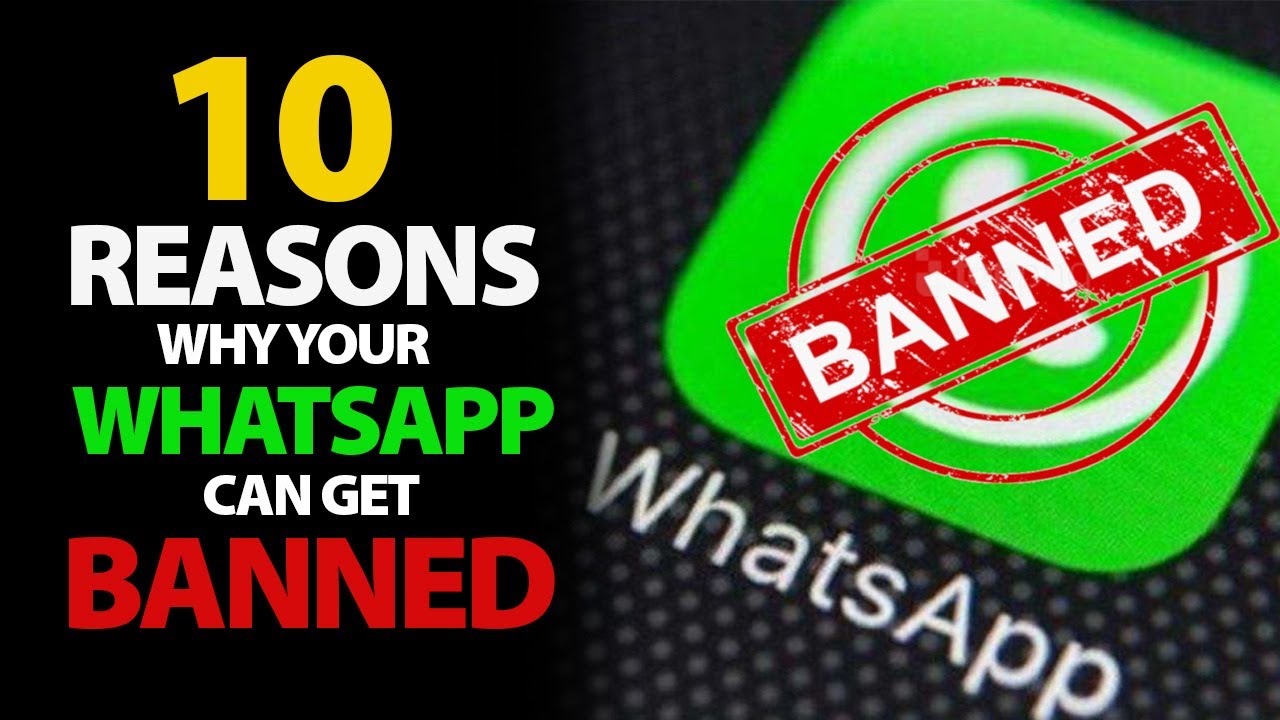 Why are you banned from WhatsApp?