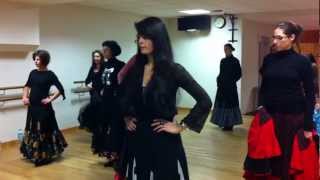 preview picture of video 'cours initiation flamenco par madsoleil'