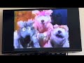 Sesame Street The Squirrelles Cracking Nuts
