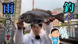 【ヘチ釣り】 曇天と巨大魚の狂宴