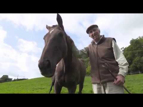 Denman – Racing TV's tribute to 'The Tank', a titan of the modern steeplechasing era