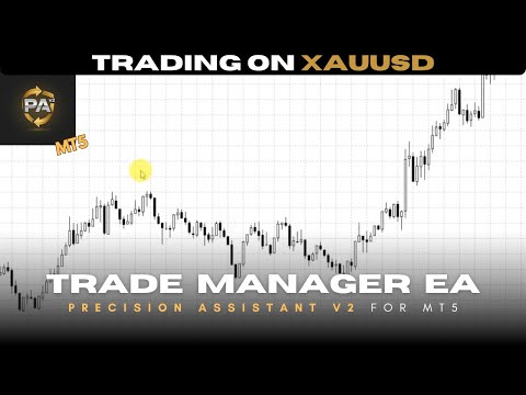 Video Precision Assistant v2