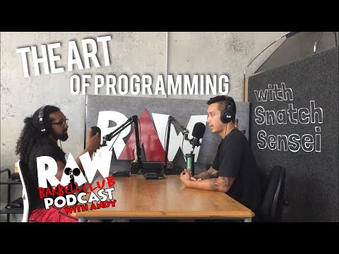 Art Of Programming - Simple Concepts & Tips with Snatch Sensei (Podcast Episode 64)