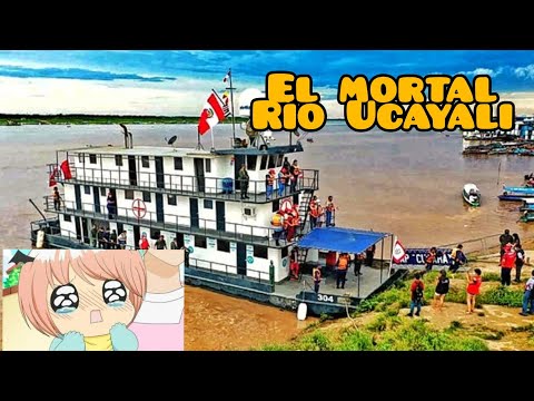 Conocí el asombroso Río Ucayali, Pucallpa 🙀 #gopro11 #viral #insta360x3 #peru #pucallpa #tiktok